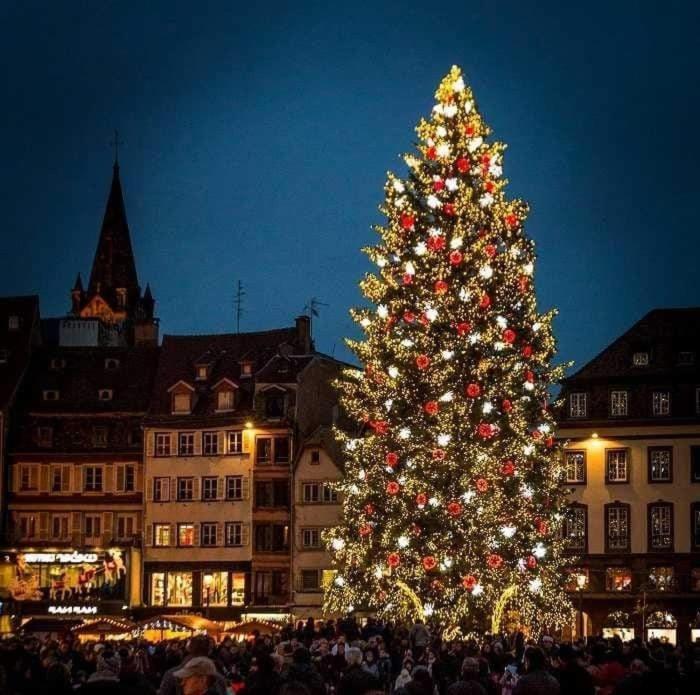 Gîtes Spa Strasbourg - La Villa 14 Furdenheim Esterno foto